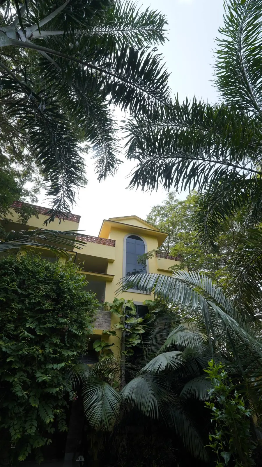 The yellow farmhouse at Turiyo, rising among palms